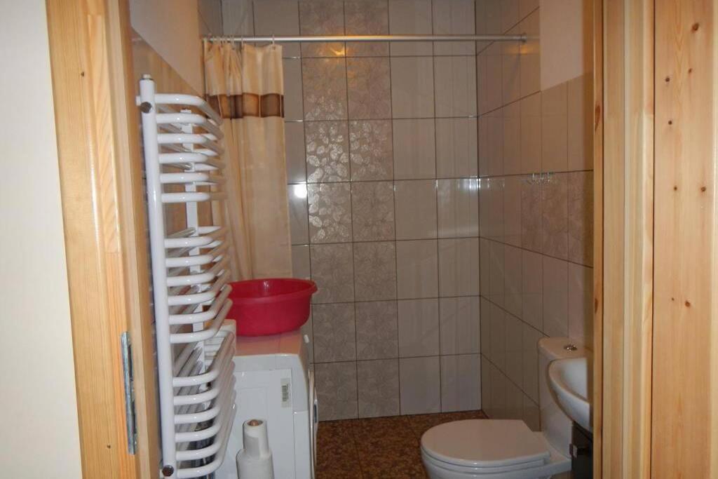Na Wysokiej Górce- Agroturystyka Grabowiec  Exterior foto